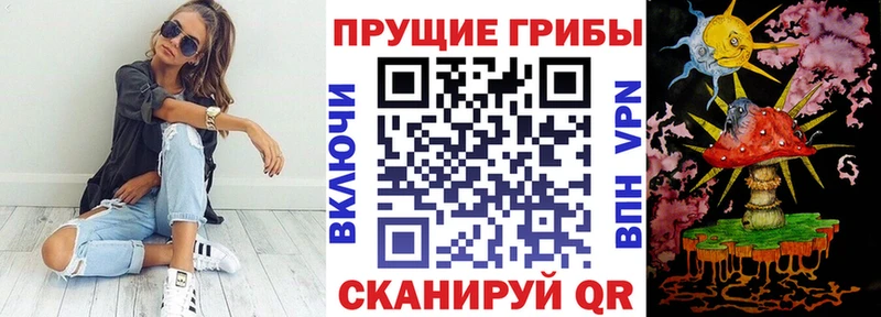 Псилоцибиновые грибы MAGIC MUSHROOMS  Купить закладки  Сельцо 